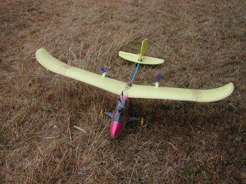 wingo rc plane